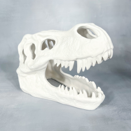 Ceramic Bisque T-Rex Skull